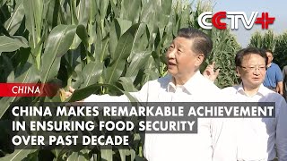 China Makes Remarkable Achievement in Ensuring Food Security over Past Decade