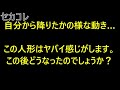 ひとりでに動く人形が、ガチで怖い動画１５本！！