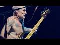 Flea - Amazing Bass Solo (2024)