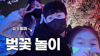 올해 벚꽃은 4명이 함께 봤습니다! (with 둘째)