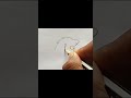 lion face drawing from one line kalyanmajhiart shorts ytshorts easy draw skech lion art