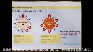 CEC and Base-cation saturation ratio