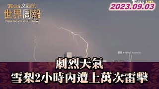 劇烈天氣 雪梨2小時內遭上萬次雷擊 TVBS文茜的世界周報 20230903