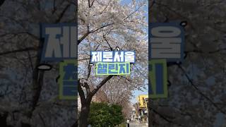 지구의 날 맞이 제로서울 챌린지 🌿  쓰레기 줄이기 실천하고 인증샷 올리자! 댓글확인 👉