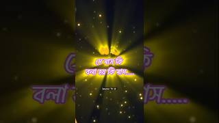 সামনে আসছে সেই মাস 🤔 Samne Asche Sei Mass 😇 New WhatsApp Status 2025 🥀 #shorts #youtubeshorts