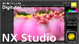 NX Studio #3 カラーコントロールポイントを使った画像編集｜ニコン公式 Digitutor