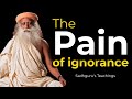 Sadhguru: The Pain of Ignorance Explained #sadghuru #motivational #buddhism