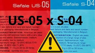 diferenças entre US-05 e S-04, qual fermento escolher? #fermentação #cerveja