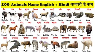 100 animals name in english and hindi with Pictures | 100 जानवरों के नाम हिन्दी और अंग्रेजी में |