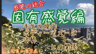 感覚の統合（固有感覚編）、手先の操作、ボディイメージ、姿勢