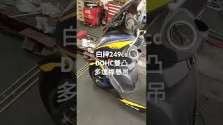 PGO TIGRA 250 白牌之王