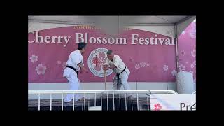 Northern California Cherry Blossom Festival 2024 - World Oyama Karate Presentation