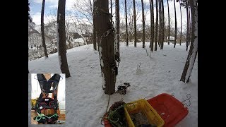 ツリーモーションで枝打ち:大源太農園20180223