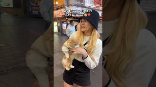 We Found a CUTEST CAT in Japan 🥹❤️ #funny #shorts #japan #osaka #travel