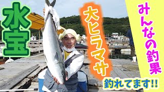 海上釣堀水宝の釣りでただただ釣れまくる みんなの釣果#4