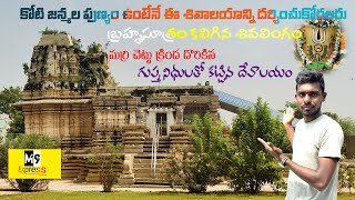 బ్రహ్మసూత్రం కలిగిన శివలింగం | Pillalamarri Temple|God formula|M9 Express #temple #cave #shiva