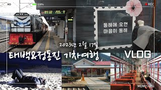 늦은 2월에 다녀온 기차여행 브이로그! 재밌었던 V-train 열차 타고, 분천부터 정동진까지 당일치기 여행