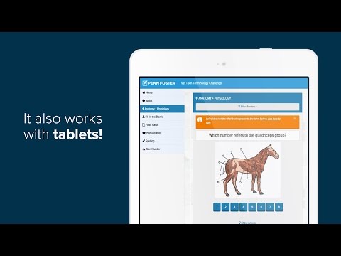 Learn How to Become a Veterinary Technician Online | Penn Foster College Learn How to Become a Veterinary Technician Online | Penn Foster College