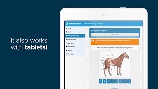 Learn How to Become a Veterinary Technician Online | Penn Foster College