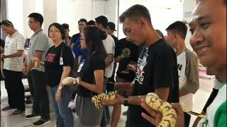 Dokumentasi Solo Reptile United 2019