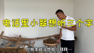 集攒了很久的豆角干，小翠一口气要了6斤，电话里让阿金猜3个字