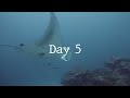 best of maldives liveaboard diving december 2023