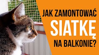 Jak zamontować siatkę na balkonie dla kota?