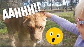 DAGJE WEG NAAR SAFARIPARK BEEKSE BERGEN - VLOG #4