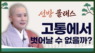 [#무여스님] 극단적 고행과 깨달음을 향한 새로운 여정 #선방클래스