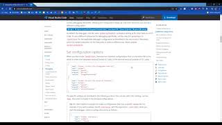 Python Debugging in VS Code