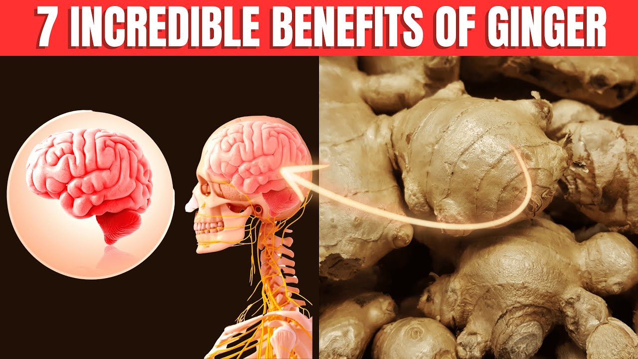 What Happens To Your Body When You Eat Ginger Every Day: 7 Benefits Of ...