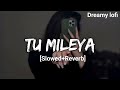 tu mileya lofi song remix slowed song trending music indian dreamy lofi lofi reverb