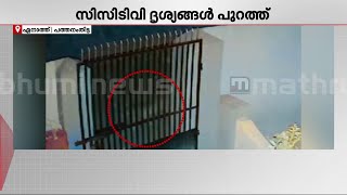 പുലിയോ അതോ കാട്ടുപൂച്ചയോ??? CCTV ദൃശ്യങ്ങൾ കണ്ട് ഭയന്ന് നാട്ടുകാർ | Pathanamthitta | Leopard