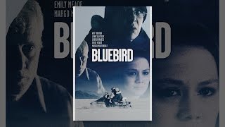 Bluebird