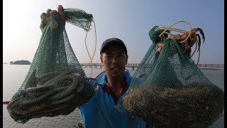 小池把值钱海鳗的老巢一窝端，一条接一条，这样的赶海才叫过瘾