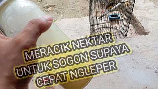 CARA MERACIK NEKTAR SUPAYA SOGON CEPAT NGLEPER