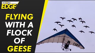 Woman flies with geese over the Alps