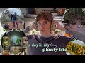 🌿 spend a day with me (a crazy plant lady 🤪) 🌿 plant shelf reset, garden clean up, & more!