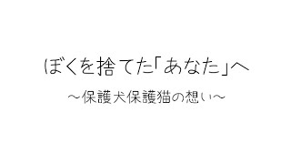 YouTube「アニスマ」🍀ぼくを捨てた「あなた」へ保護犬保護猫の想い