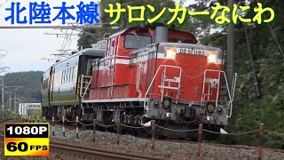 北陸本線 DD51-1193牽引14系客車サロンカーなにわ 団体列車通過集〈2023年10月8・9日〉 /Japanese Train Diesel Locomotive JNR Class DD51