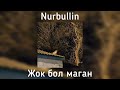 nurbullin Жоқ бол маған Жүрегіңнің түбінде сақталмаған speed up