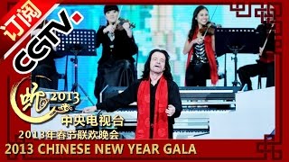 2013 Chinese New Year Gala【Year of Snake】器乐演奏《琴筝和鸣》雅尼 常静丨CCTV