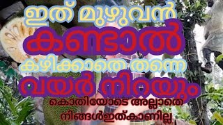 ഇത്രയും ഇഷ്ട്ടപെട്ട ഫുഡ്‌ വേറെ ഇല്ല 🤤ഒരു ദിവസം മുഴുവൻ വേണം ഇതൊന്ന് തയ്യാറാക്കാൻ #dayinmylife #mylife