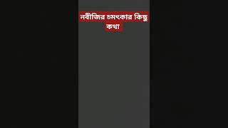 নবীজির চমৎকার কিছু কথা