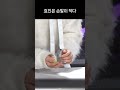 온앤오프2 18컴백 오징어게임2 탈락사유