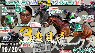 【椎チャンネル】椎名の馬部屋_10/19撮影_近況報告