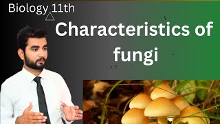 characteristics of Fungi, class 11 biology,  MDCat ( lecture 2 ) chapter 8