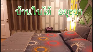 800 บาท บ้านใบไม้ ที่พักราคาถูก ในเมืองอยุธยา