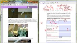 virtual mole lab