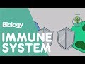 The Immune System | Health | Biology | FuseSchool